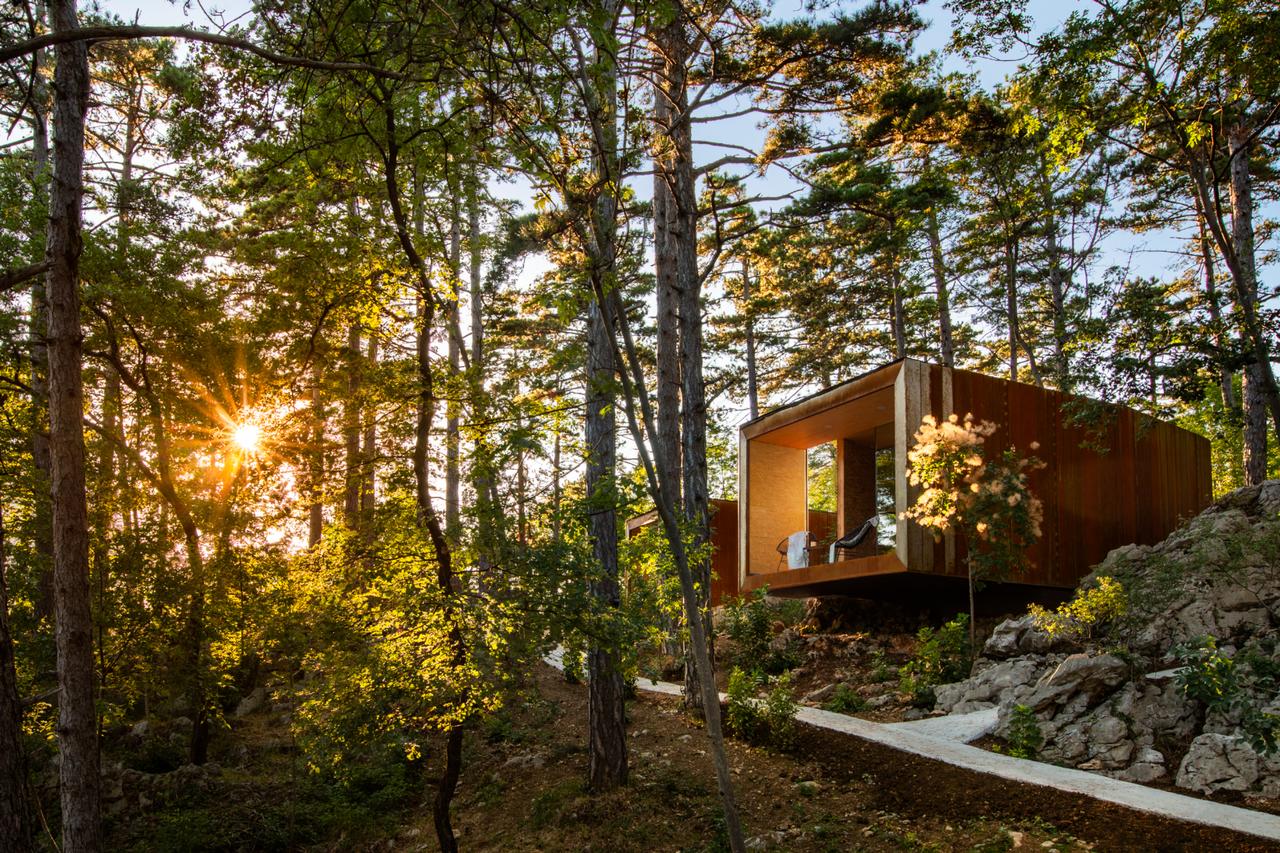 Theodosius Forest Village glamping cabin among the pine trees at golden hour